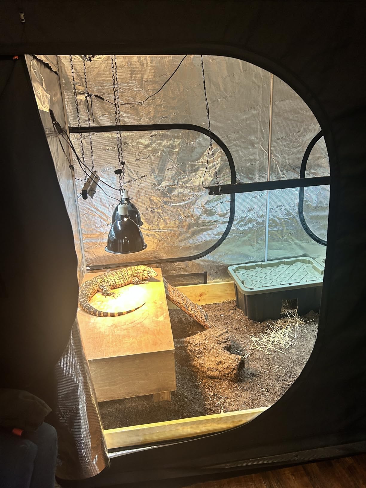 Spider Farmer 4.6x2.3 Grow Tent 55