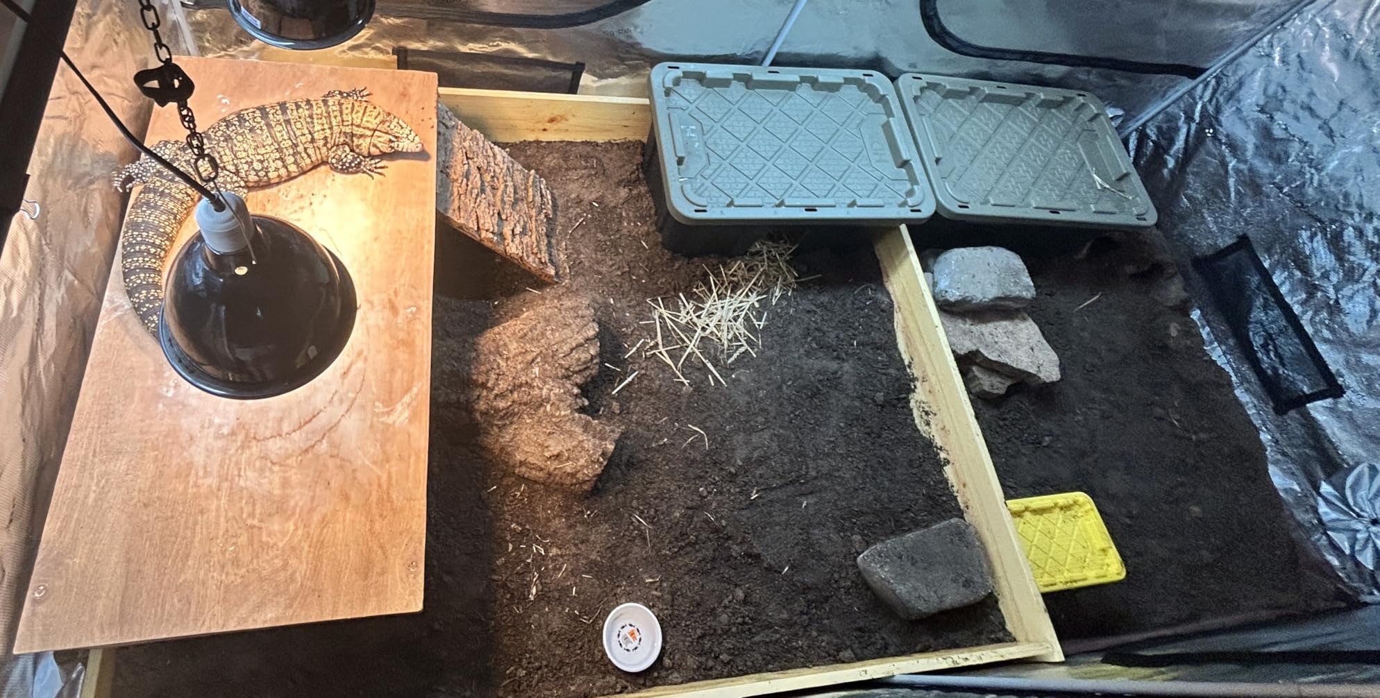 Spider Farmer 4.6x2.3 Grow Tent 55