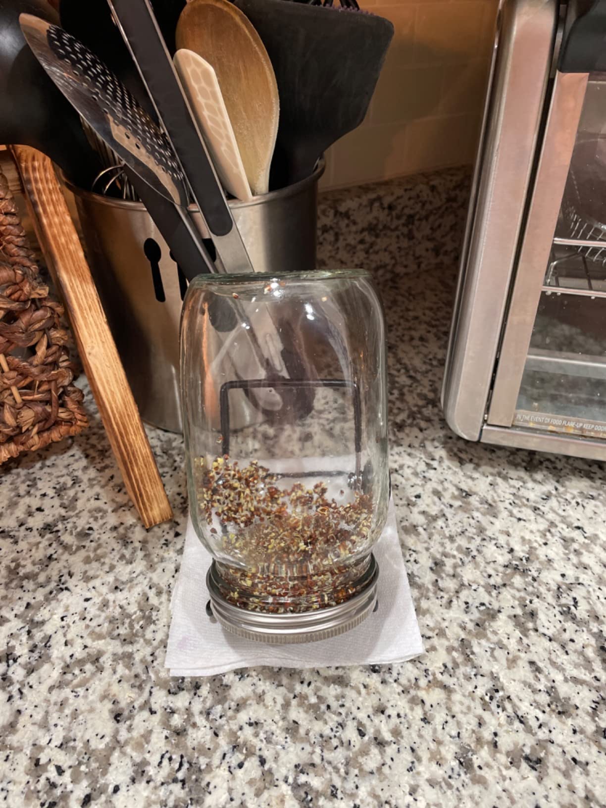 Sprouting Jar Kit, Wide Mouth Quart Mason Jars with Screen Sprout Lids & Stand, Seeds Germination Growing Kit, Seed Sprouter Set for Growing Organic Broccoli Alfalfa Mung Microgreens Bean (1Pack) customer photo 1