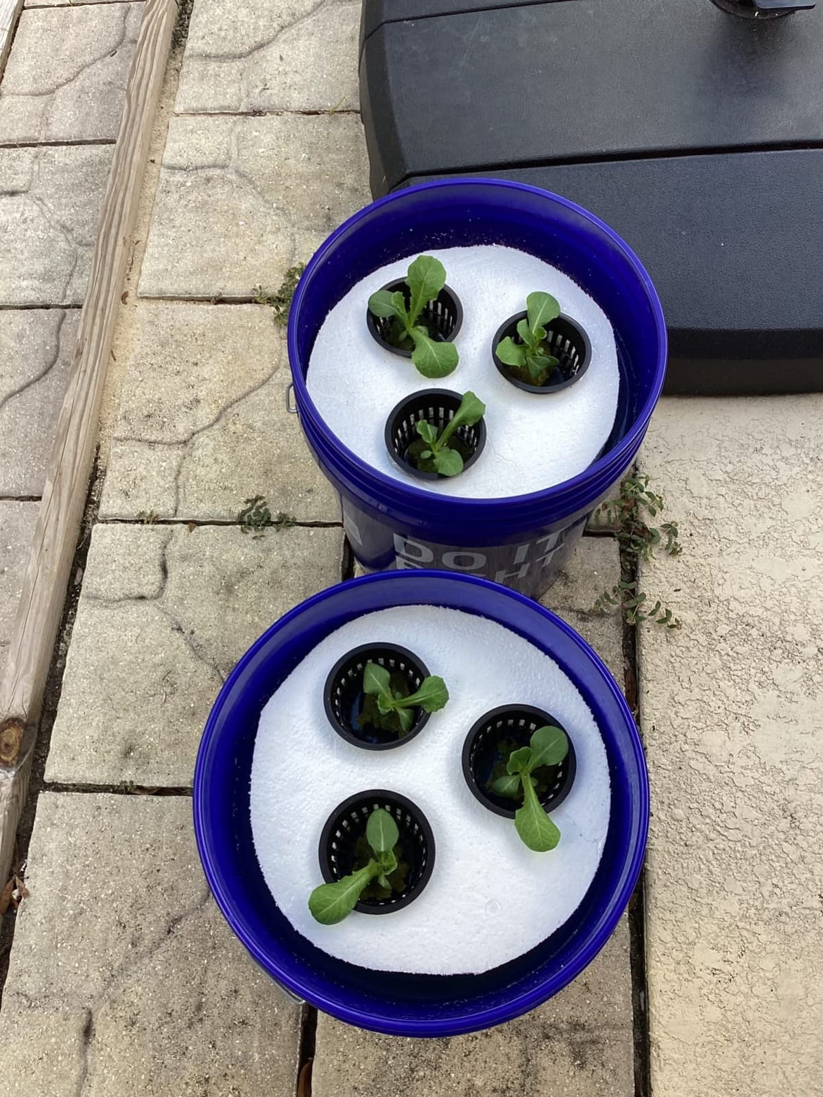 3 Inch Hydroponic Net Pots with Plant Labels 30-Pack customer photo 1
