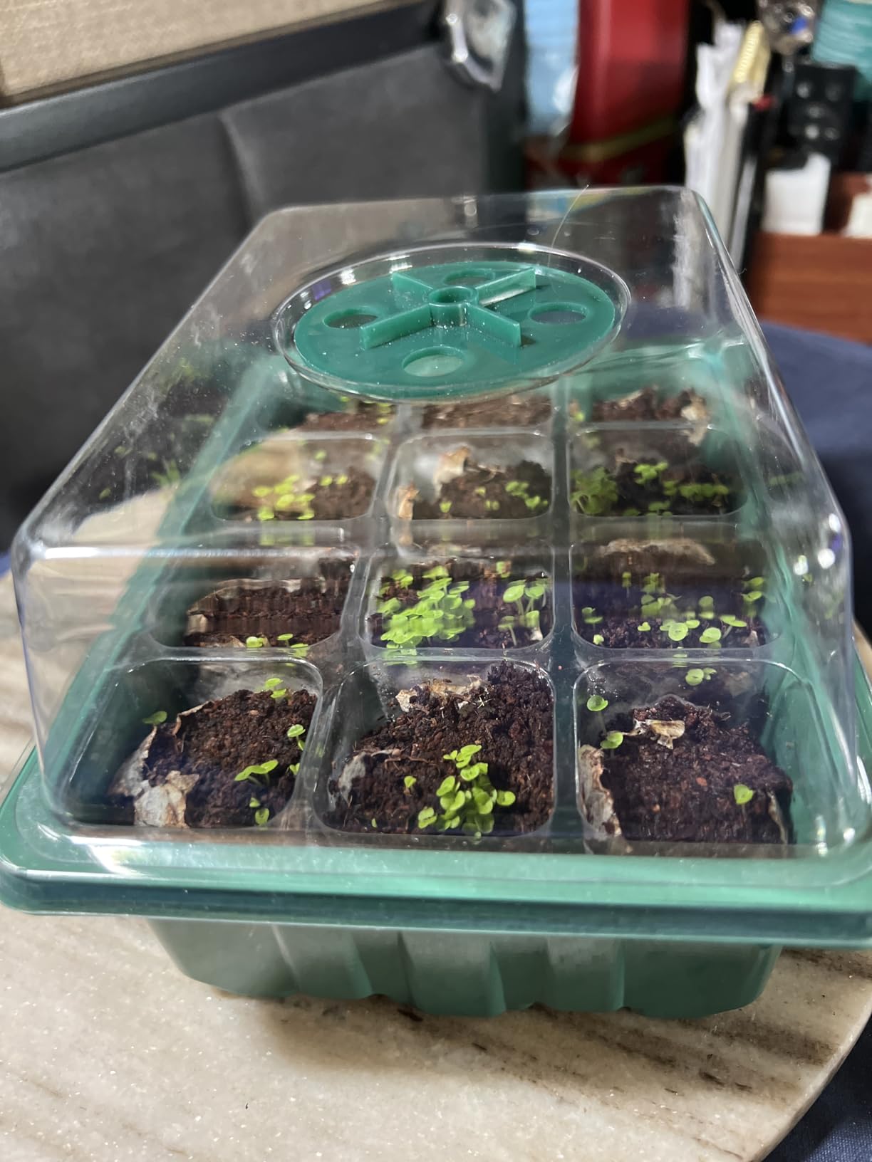 Seed Starter Tray with Peat Pellets, Black Seeding Starter Trays for Plant customer photo 1