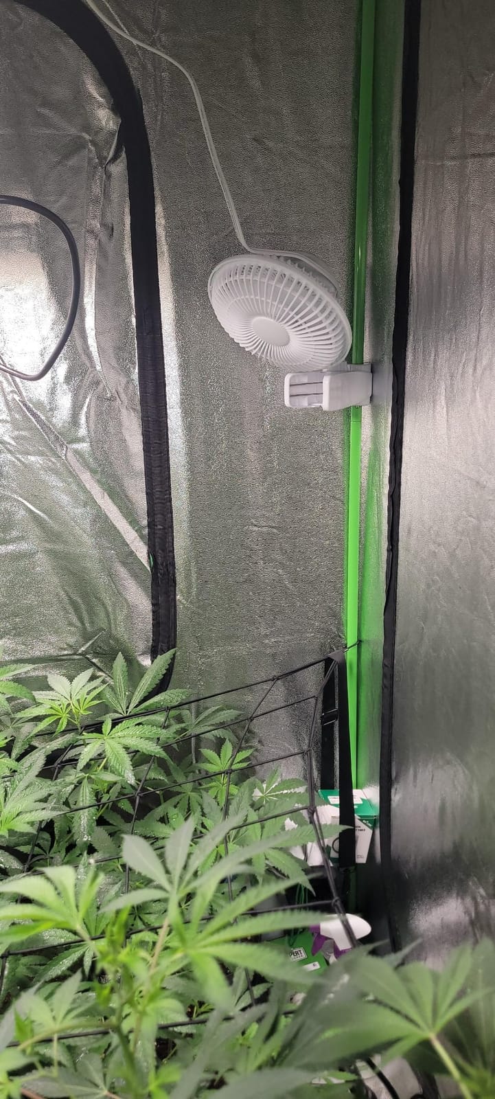 HealSmart Clip Fan, 6-Inch Grow Tent Fan, Monkey Fan, Wall Mount Fan with Adjustable 90° Angles, 15W, 2-Speeds Control, 1 Pack customer photo 2