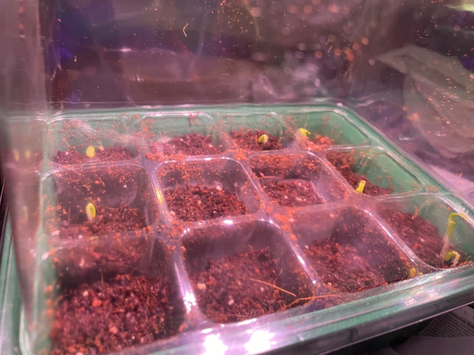 Seed Starter Tray with Light, 6PCS Seed Starter Kit with Grow Light, Seedling Starter Trays with Humidity Domes, Covers Height 3.9