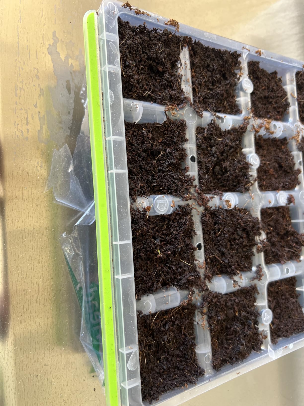 Burpee SuperSeed Windowsill Seed Starting Tray | 8 XL Cell | Seed Starter Tray | Reusable & Dishwasher Safe | Window Garden Starting Kit | Orange customer photo 1