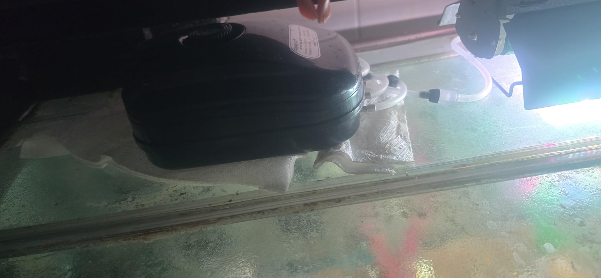 AQUANEAT Aquarium Air Pump 300GPH, for up to 200 Gallon Fish Tank, Powerful Hydroponic Aerator Pump with Tubing, Air Stones, Valves customer photo 1