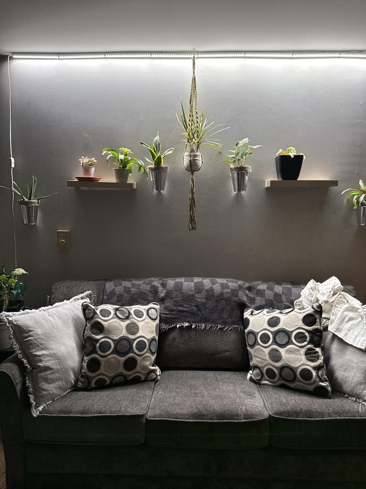 Barrina T5 Grow Lights for Indoor Plants, 5000K Full Spectrum, 1FT, 4 Packs customer photo 2