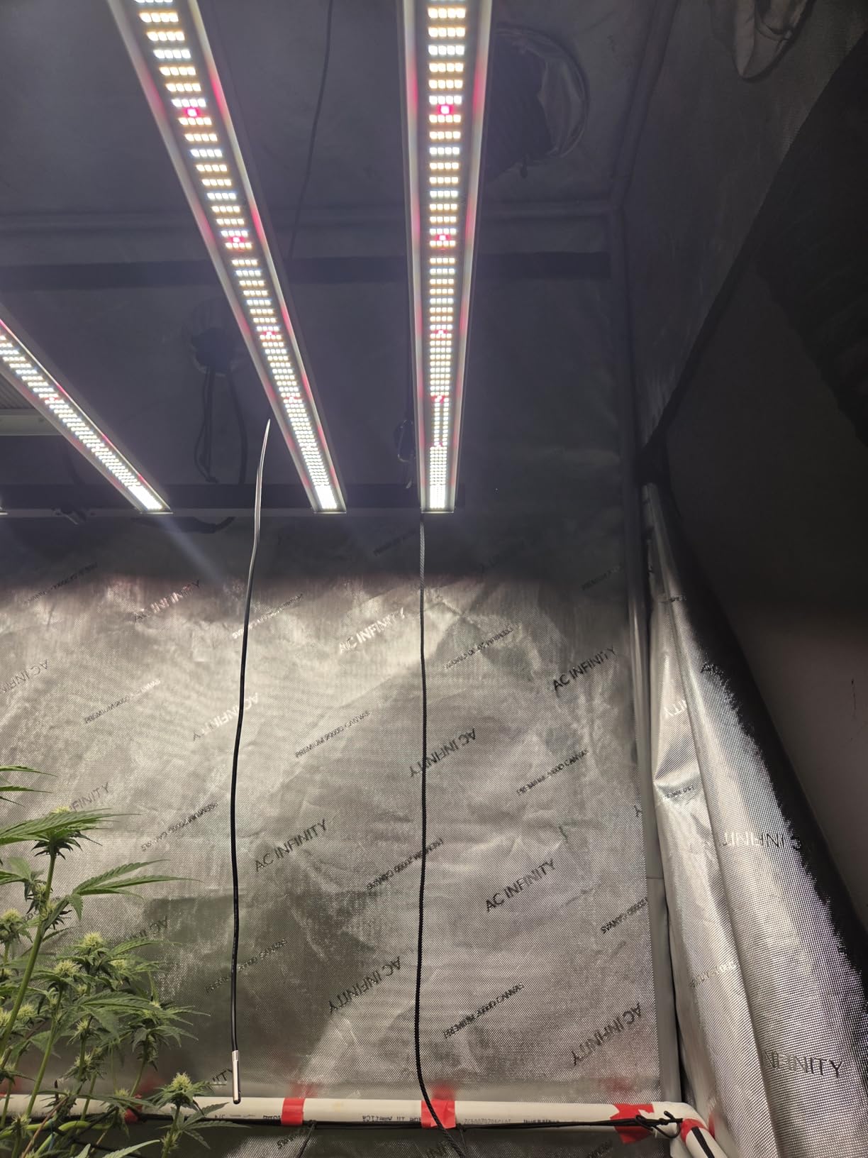 Spider Farmer G5000 LED Grow Light, App‑Controlled, Fits 4x4 Grow Tents customer photo 2