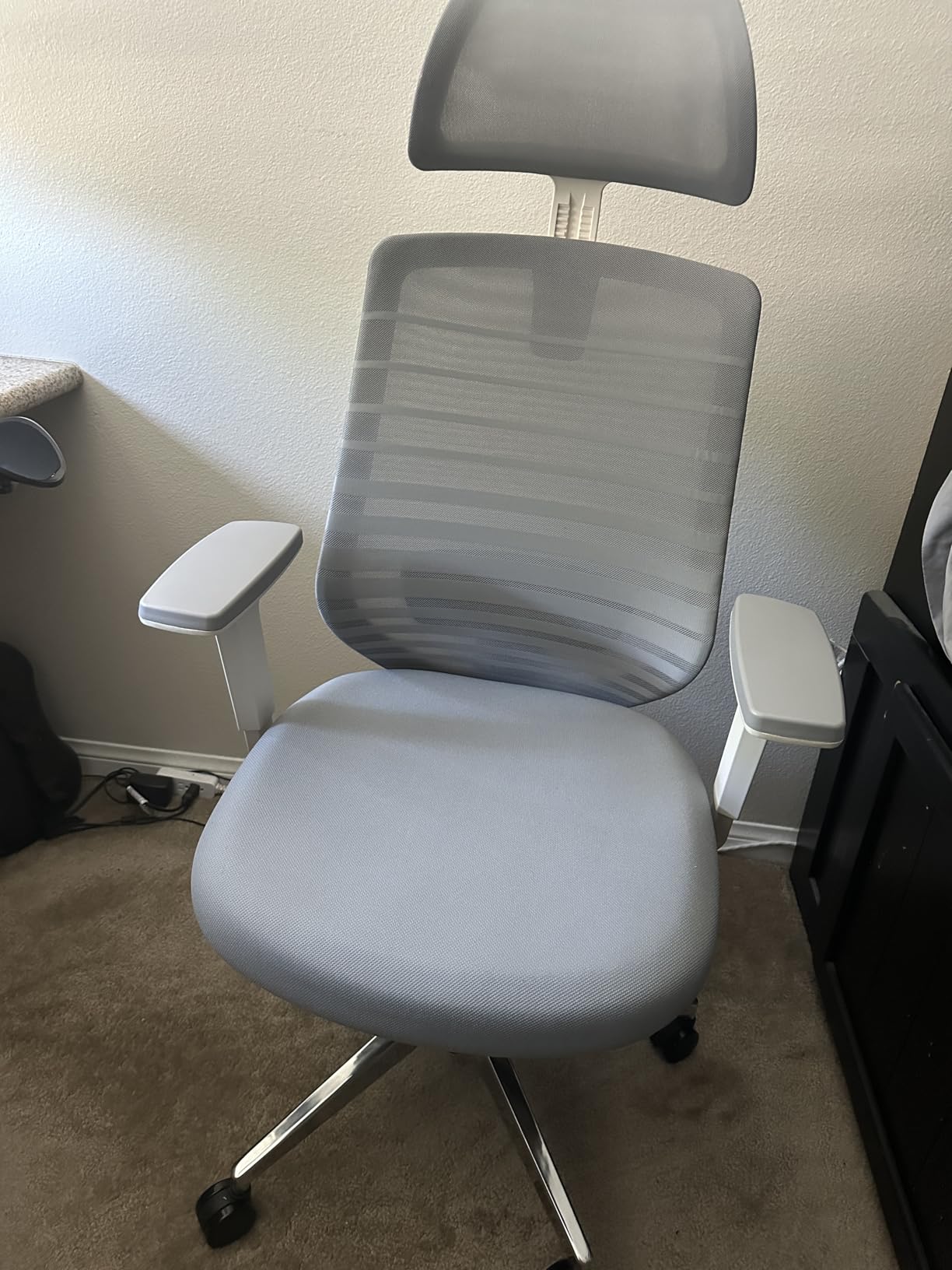 Branch Ergonomic Chair, Versatile Desk Chair with Adjustable Lumbar Support customer photo 1