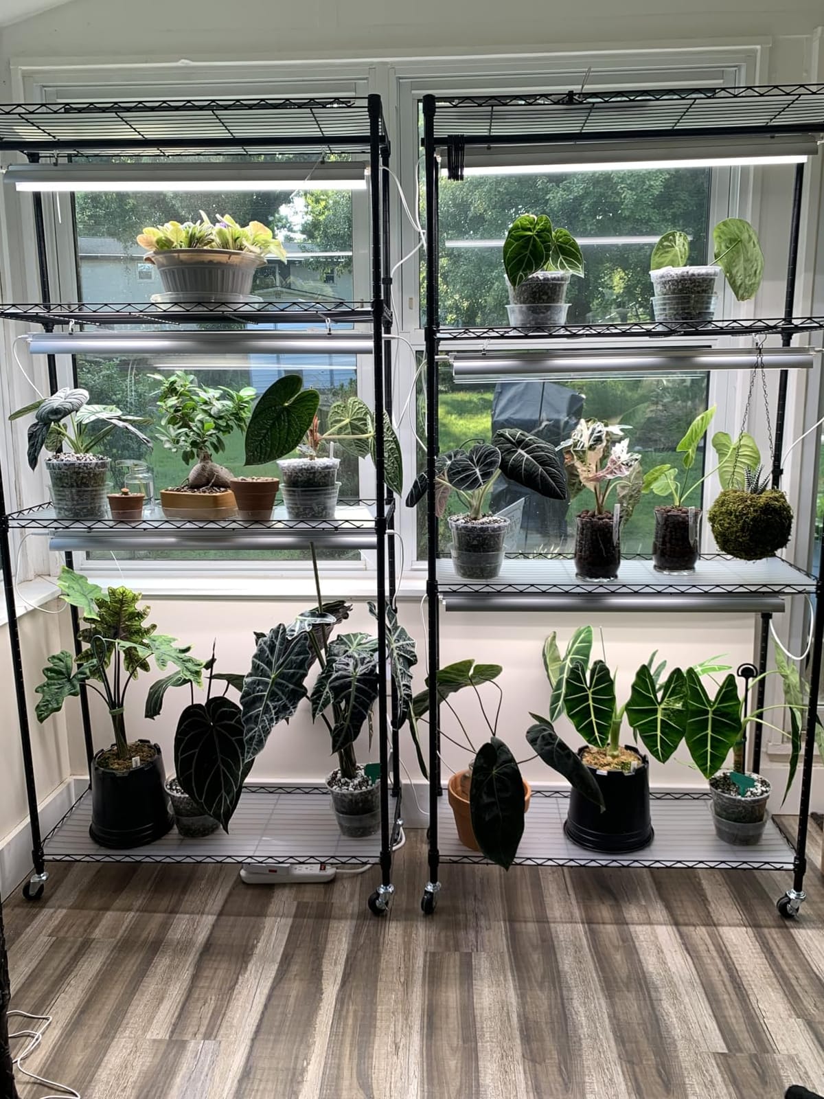 Barrina CX3 Plant Stand with Grow Light, 4-Tier, 108W, 35.4x13.8x70.9IN customer photo 1