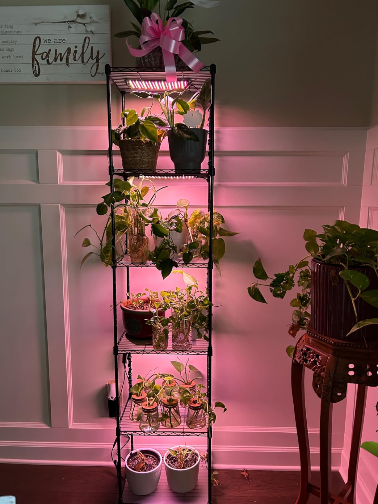 Barrina CX83 Plant Stand with Grow Lights, 6-Tier Shelf, 15.7x11.8x70.9IN customer photo 2