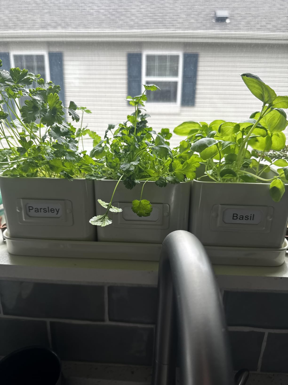 volila Herb Planter Indoor - Set of 3 Teal Blue Indoor Herb Garden Pots for Plants with Leather Handled Tray - Window Sill Plant Shelf - Herb Pots with Drainage Holes and Labels customer photo 1
