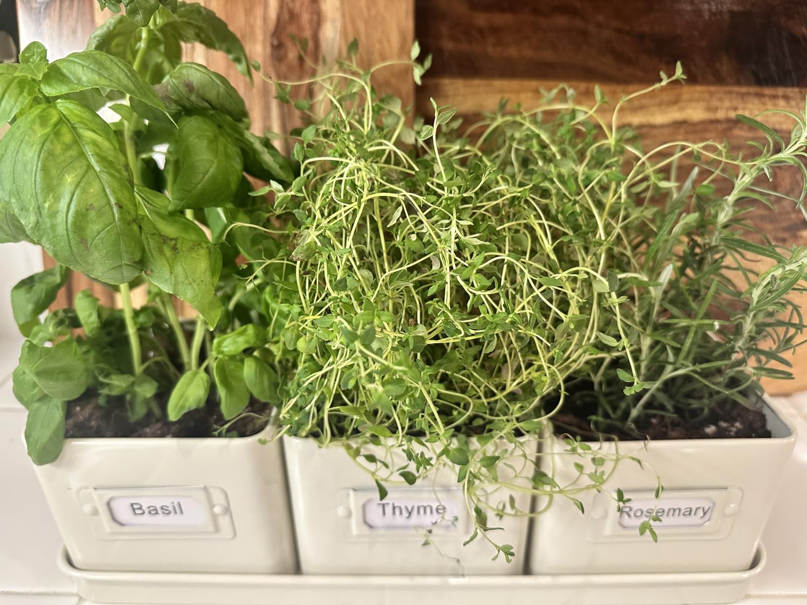 volila Herb Planter Indoor - Set of 3 Teal Blue Indoor Herb Garden Pots for Plants with Leather Handled Tray - Window Sill Plant Shelf - Herb Pots with Drainage Holes and Labels customer photo 2