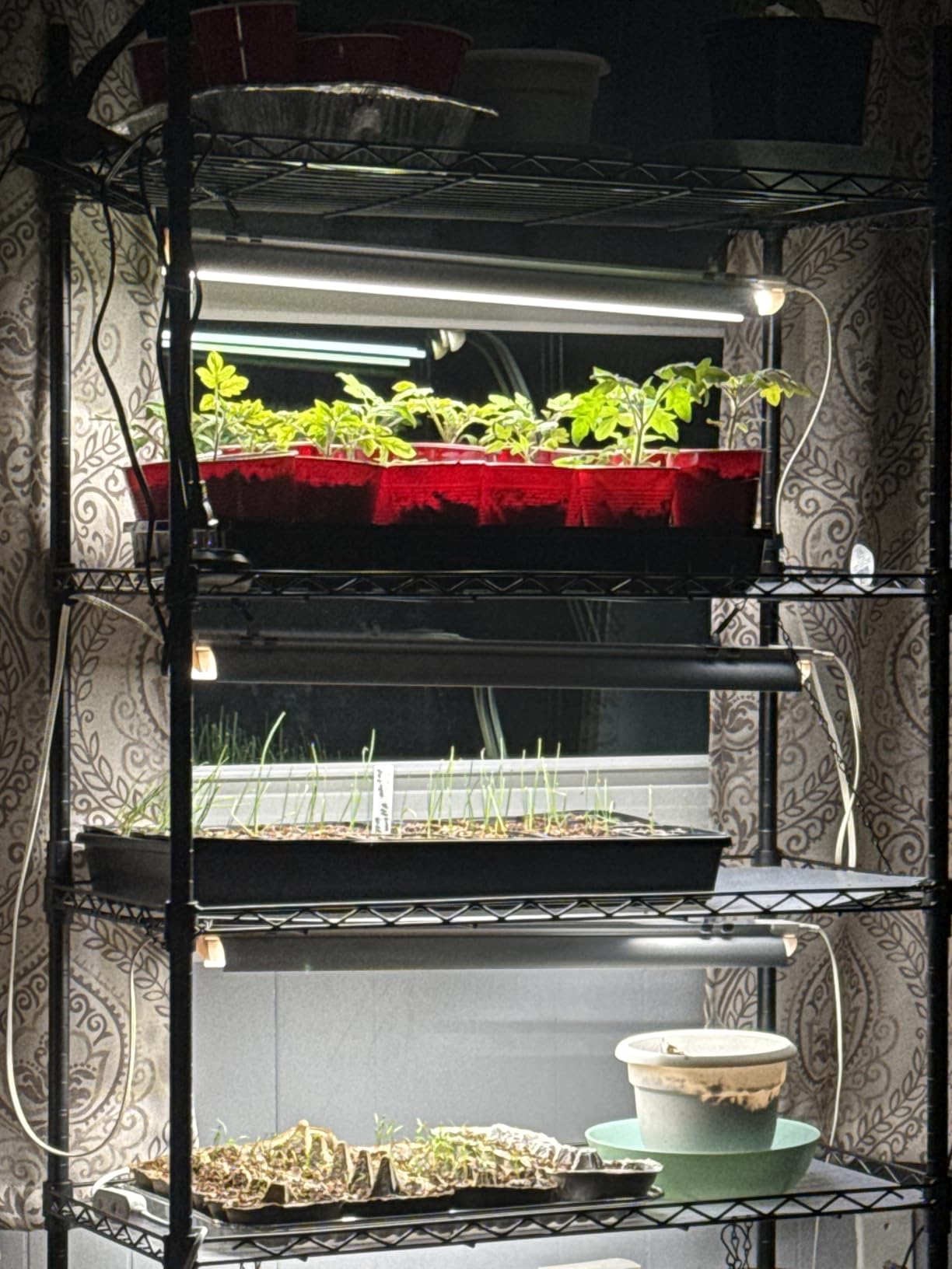 Bstrip 5-Tier Plant Shelf with Grow Light, 29.5x13.8x59in customer photo 2