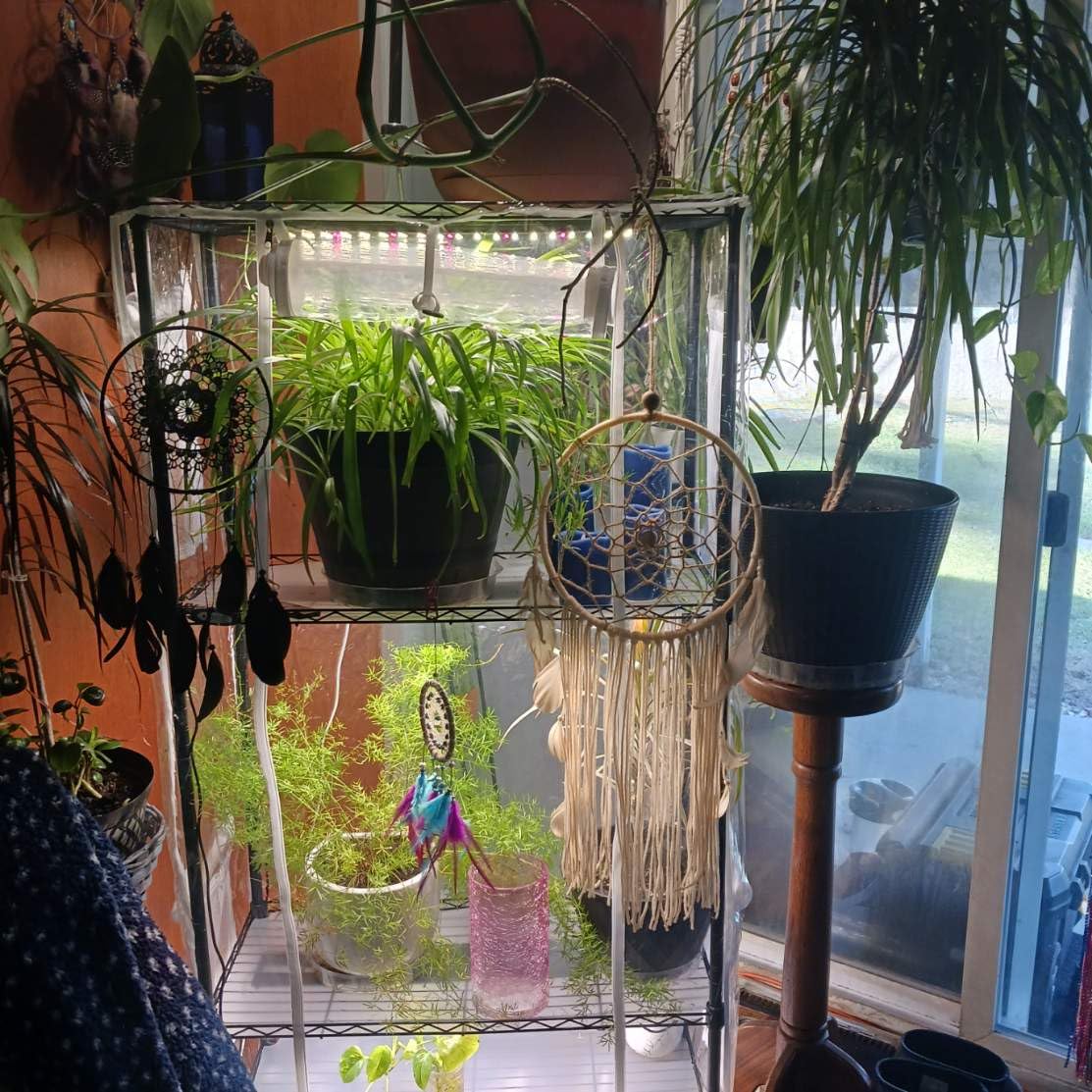 Indoor Greenhouse with Grow Light, 4-Tier Shelf, 26.4x19x61in customer photo 1