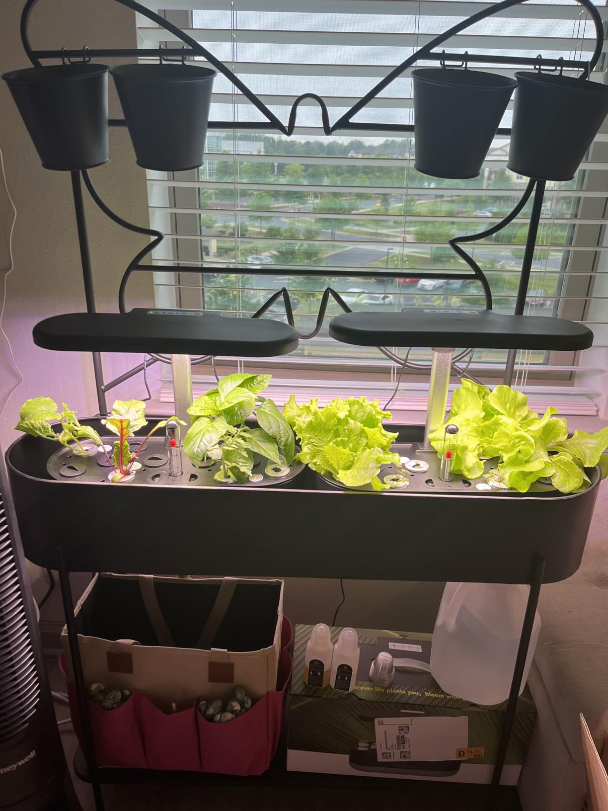 inBloom 12 Pods Hydroponics Growing System Indoor Garden with LED Grow Light and Pod Kit, Plants Germination Kit with 4.2L Water Pump Accelerate, Height Adjustable, Gardening Gifts for Women, White customer photo 1