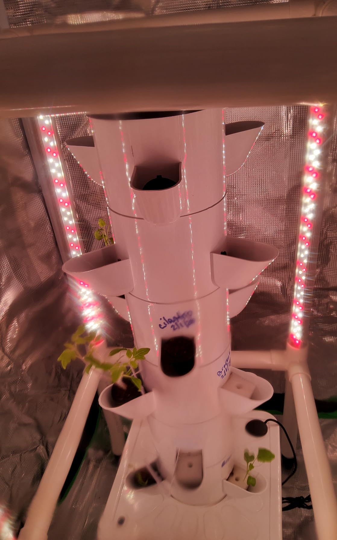 Small Grow Tent for Aerogarden,24”x16”x24” ,Hydroponics Growing System ,Highly Reflective 600D Diamond Mylar Canvas with Ventilation window and Floor Tray for Hydroponic Indoor Plant Growing customer photo 2