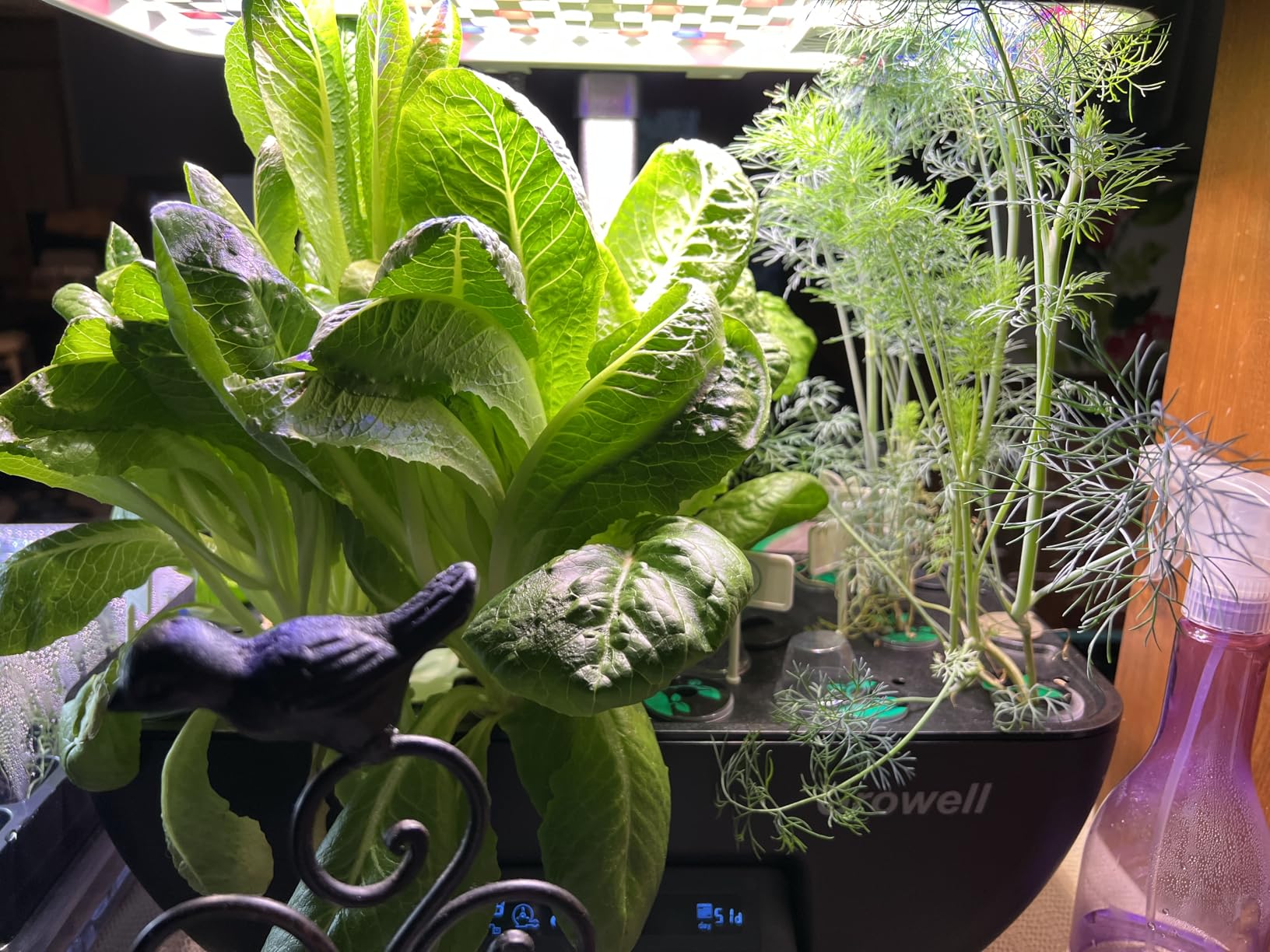 Hydroponics Growing System Kit, 17 Pods Herb Garden with 102 28W Full-Spectrum Grow Lights & 2 Fans, Indoor Garden with Water Pump, 10L Water Tank, Auto Timer, Height Adjustable (Black & White) customer photo 1
