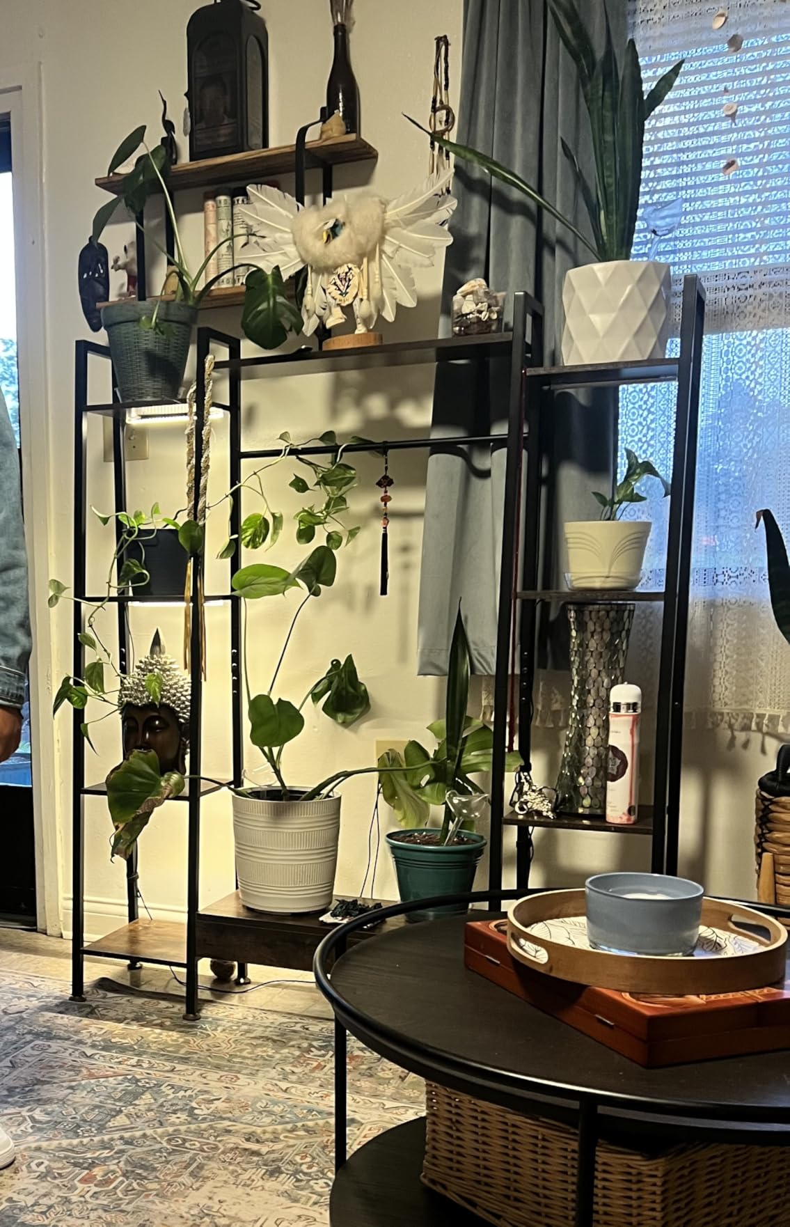 BACEKOLL Plant Stand with Grow Lights 6 Tier 55