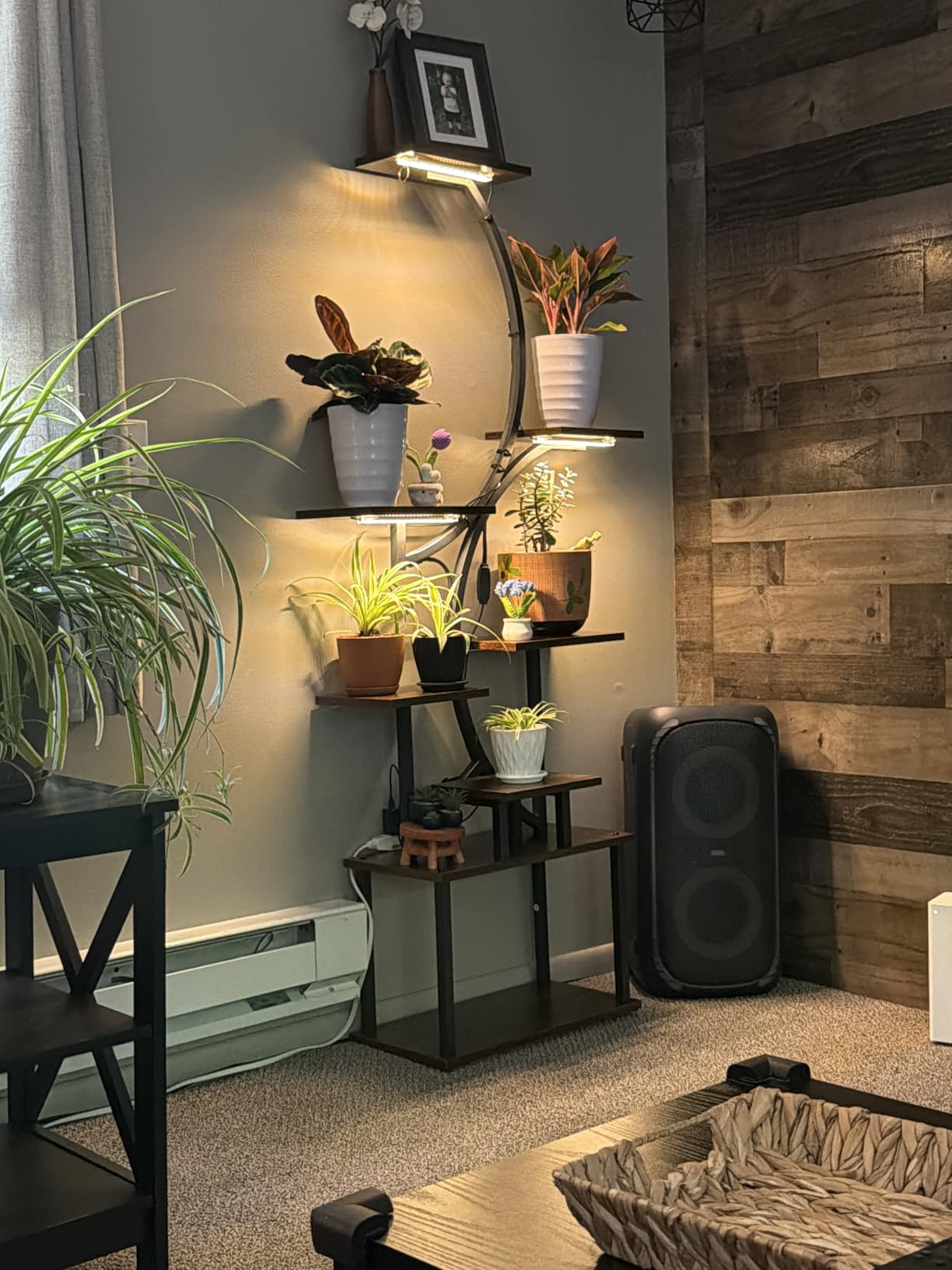 BACEKOLL Plant Stand Indoor with Grow Light, 8 Tier Corner Plant Shelf Tall customer photo 2