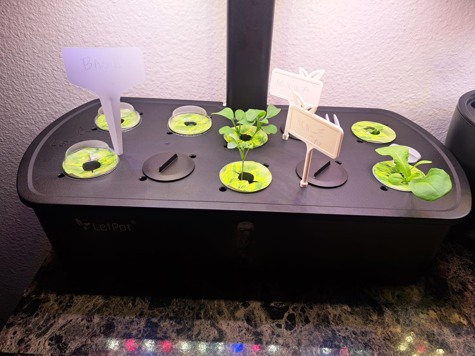 LetPot LPH-Air Hydroponics Growing System Kits, APP & WiFi Controlled Smart Indoor Garden with Adjustable 24W Grow Light Full Spectrum, 10 Pods Planter Indoor Gardening for Gifts, Kitchen, Vegetable customer photo 1
