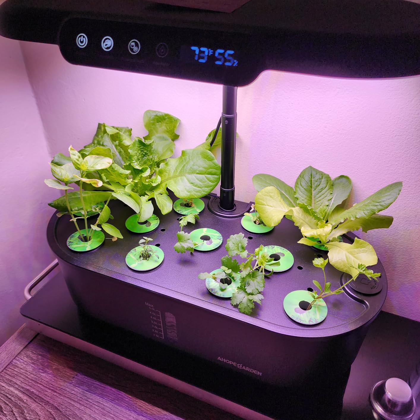 Ahopegarden Hydroponics Growing System Kit: 12 Pods Temp & Humidity Monitor customer photo 1