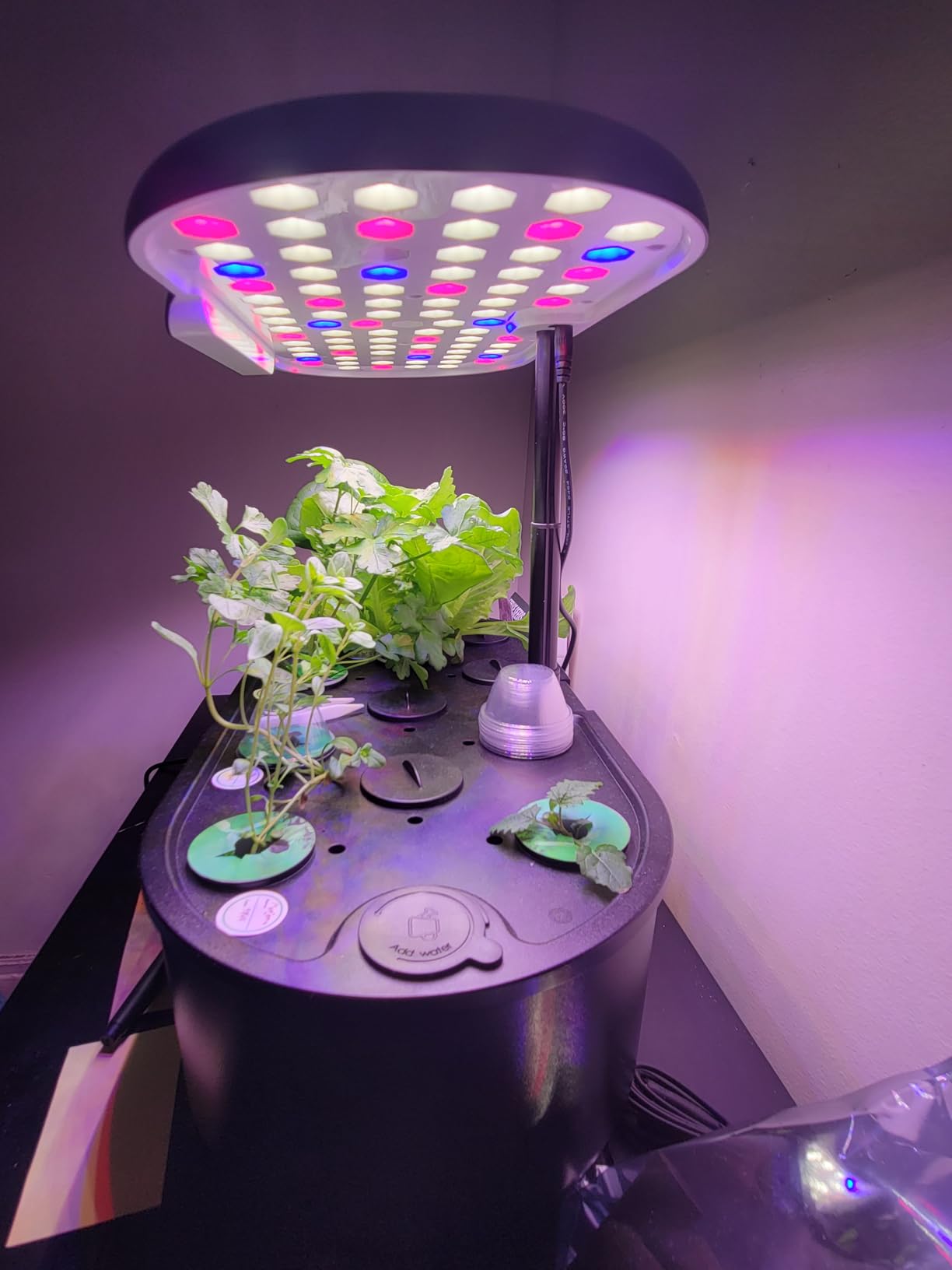 Ahopegarden Hydroponics Growing System Kit: 12 Pods Temp & Humidity Monitor customer photo 2
