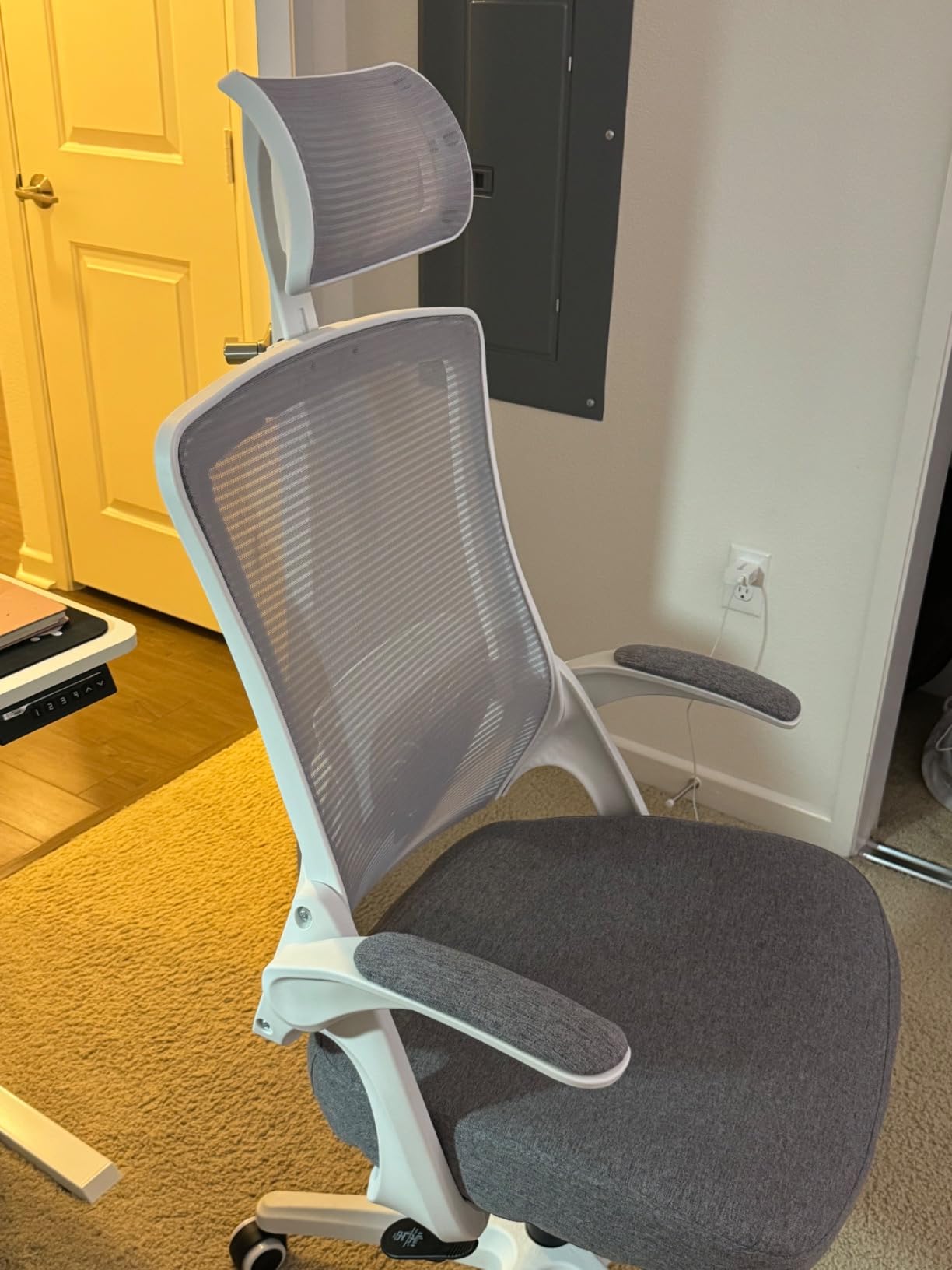 NEO CHAIR Office Desk Chair with Ergonomic High Back Mesh Headrest, Beige customer photo 1