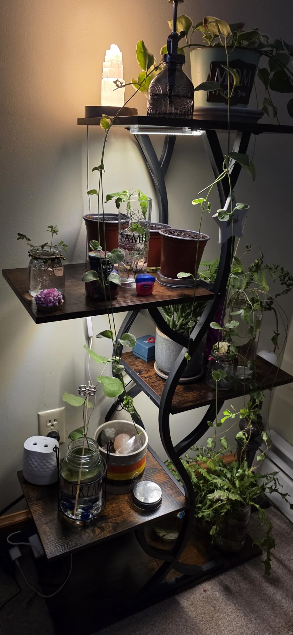 Plant Stand Indoor with Grow Lights - 5 Tiered Corner Plant Shelves (Brown) customer photo 1
