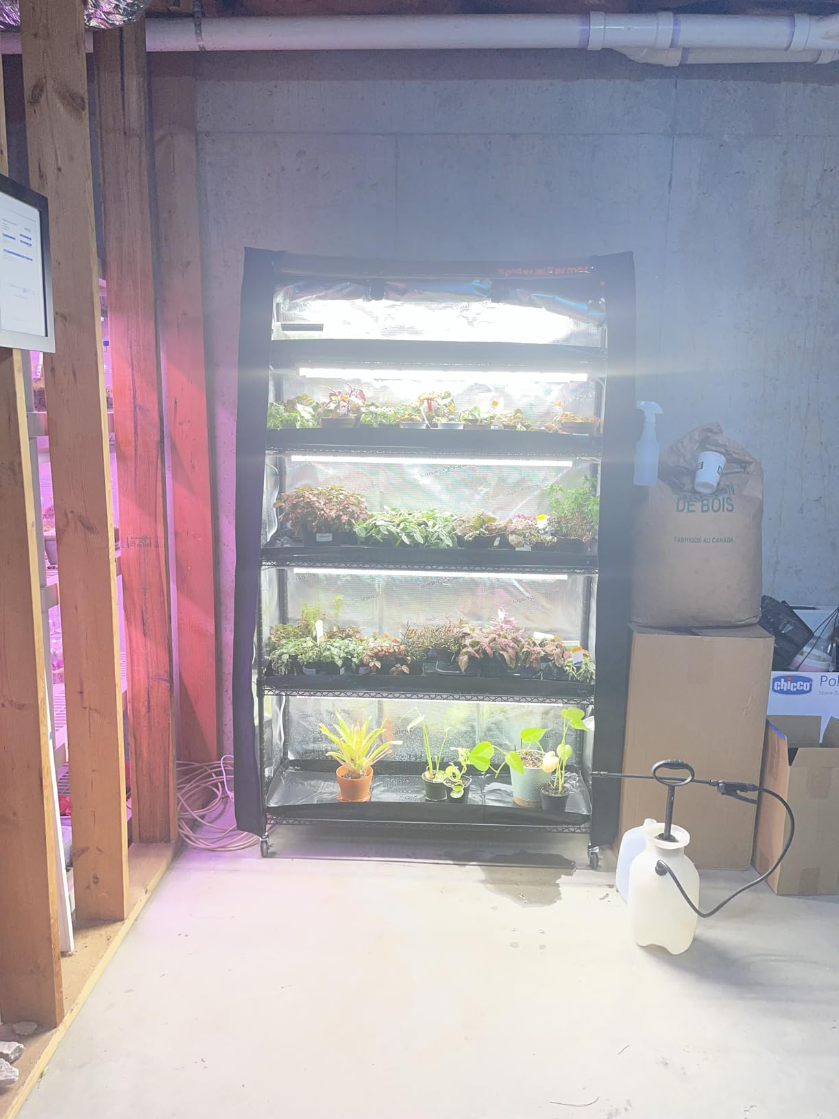 Spider Farmer 4 Tier Mini Greenhouse Plant Shelf with Grow Lights Indoor customer photo 1