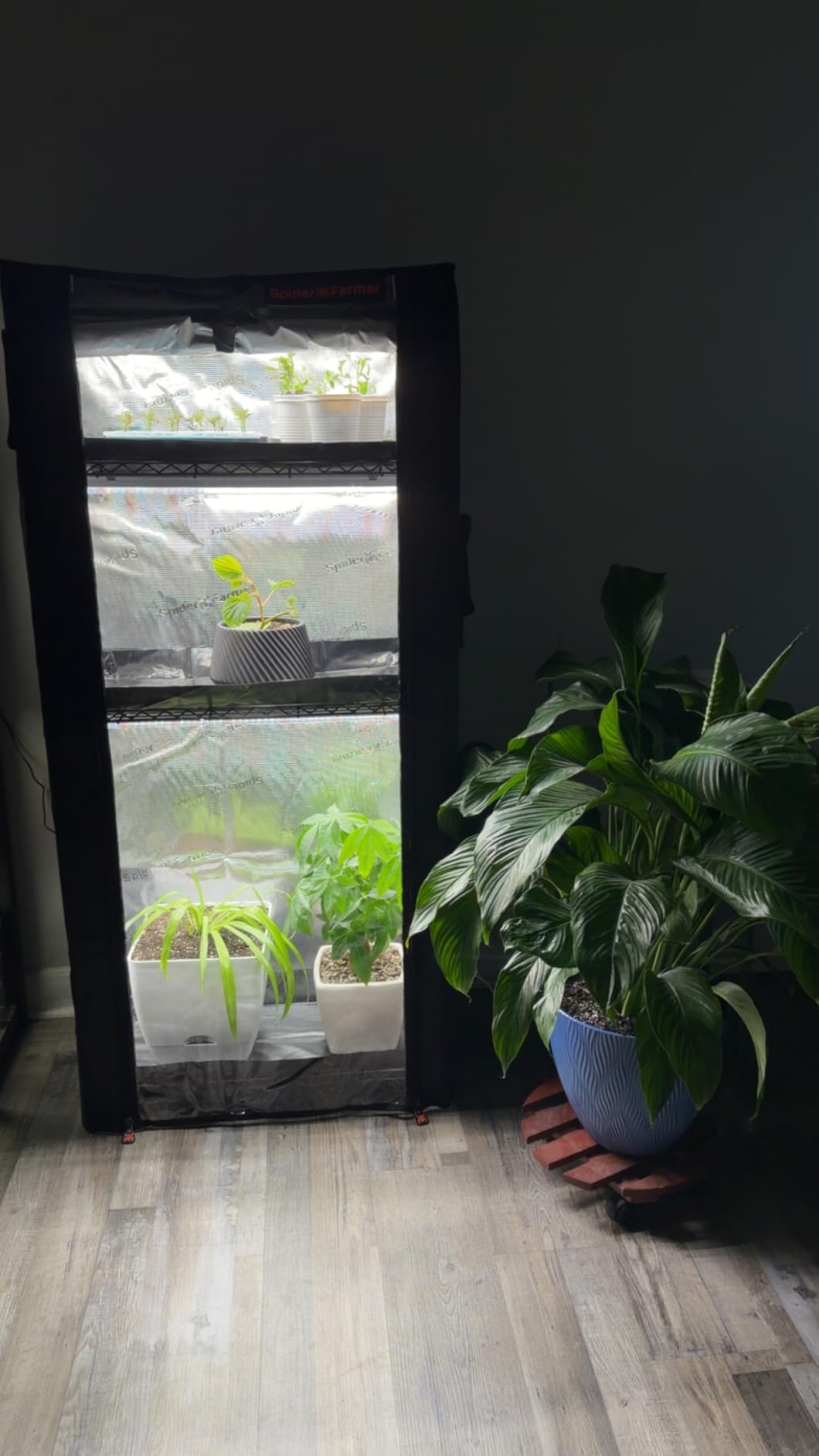 Spider Farmer 4 Tier Mini Greenhouse Plant Shelf with Grow Lights Indoor customer photo 2