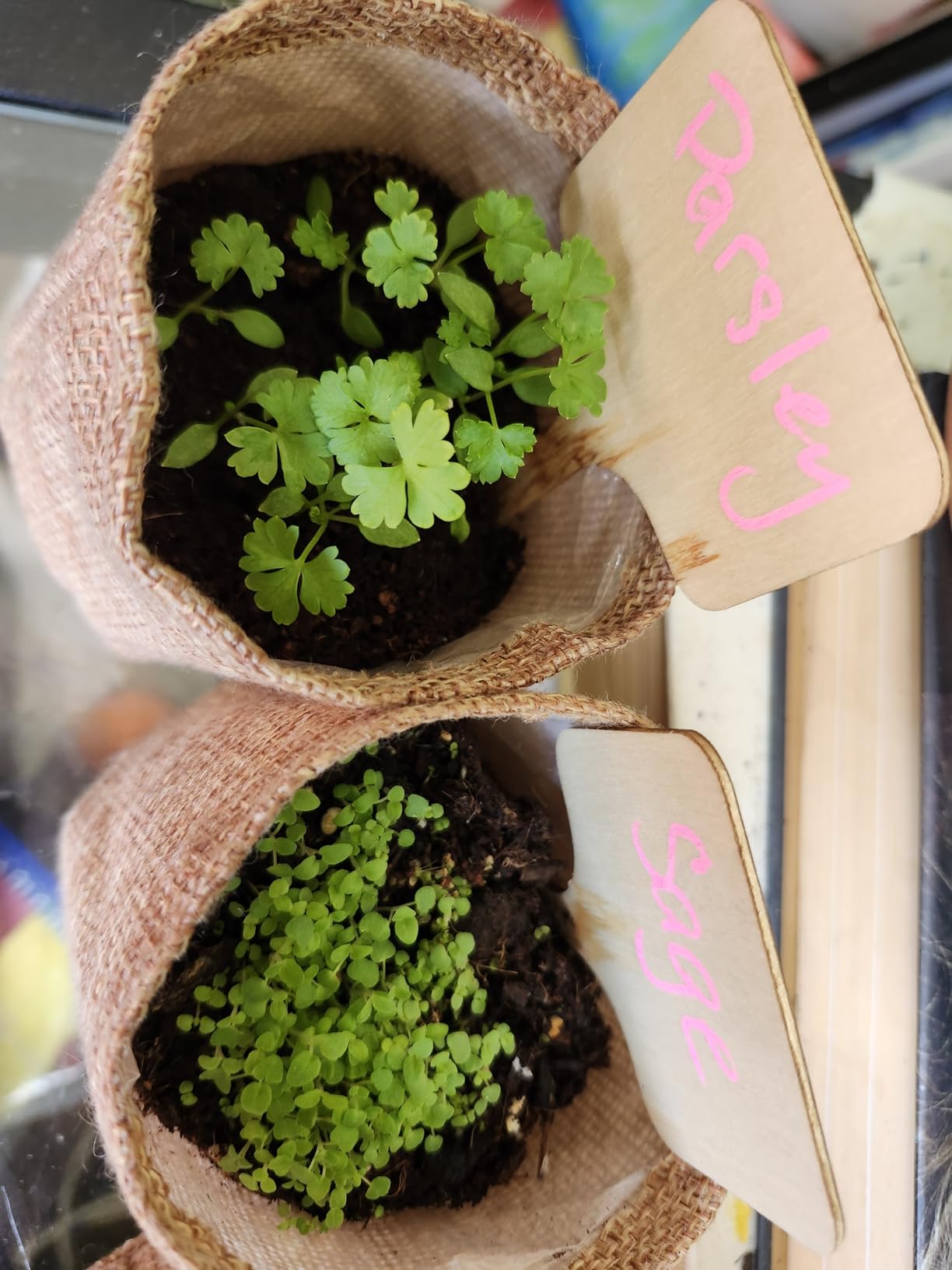 10 Herb Garden Planter Indoor Kit, 44pcs Complete Kitchen Herb Starter Set Including Burlap Pots, Markers, Soil Discs, Gardening Tools, Unique Easter/Birthday/Christmas Gift Ideas for Women, Mom customer photo 2