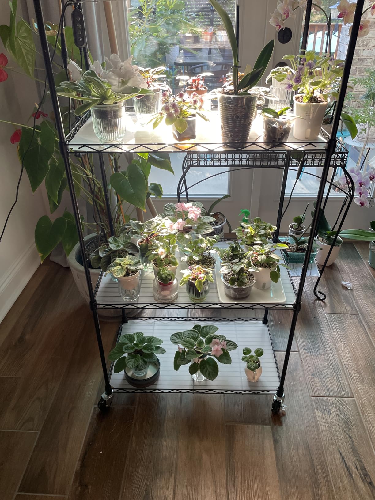 VEVOR Plant Stand with Grow Light, 4-Tier Plant Shelfwith 45W Full Spectrum LED, 3 Mode Plant Light with Timer and Wheel for Seed Starting, Metal Plant Rack for Indoor Plants customer photo 1