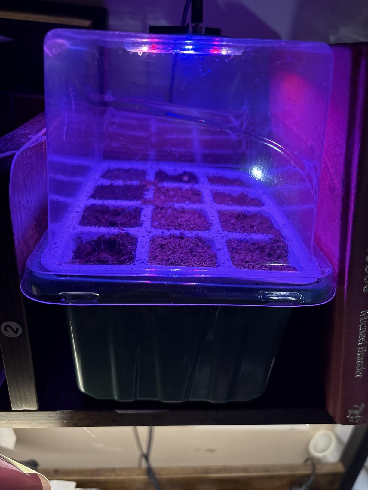 Mckanti 4 Set Self-Watering Seed Starter Tray Kits with Grow Light, Reusable Seed Germination Kit with Adjustable Humidity Domes and Silicone Cell Base Tray for Indoor Plant Seed Germination customer photo 2