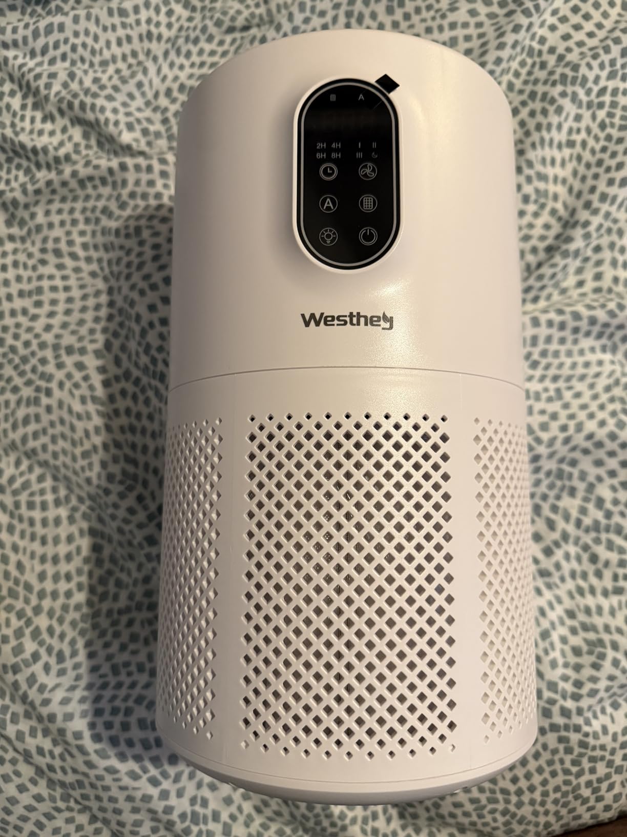 WESTHEY H13 HEPA Air Purifier for Home up to 1650 Sq Ft Washable Pre-Filter customer photo 1