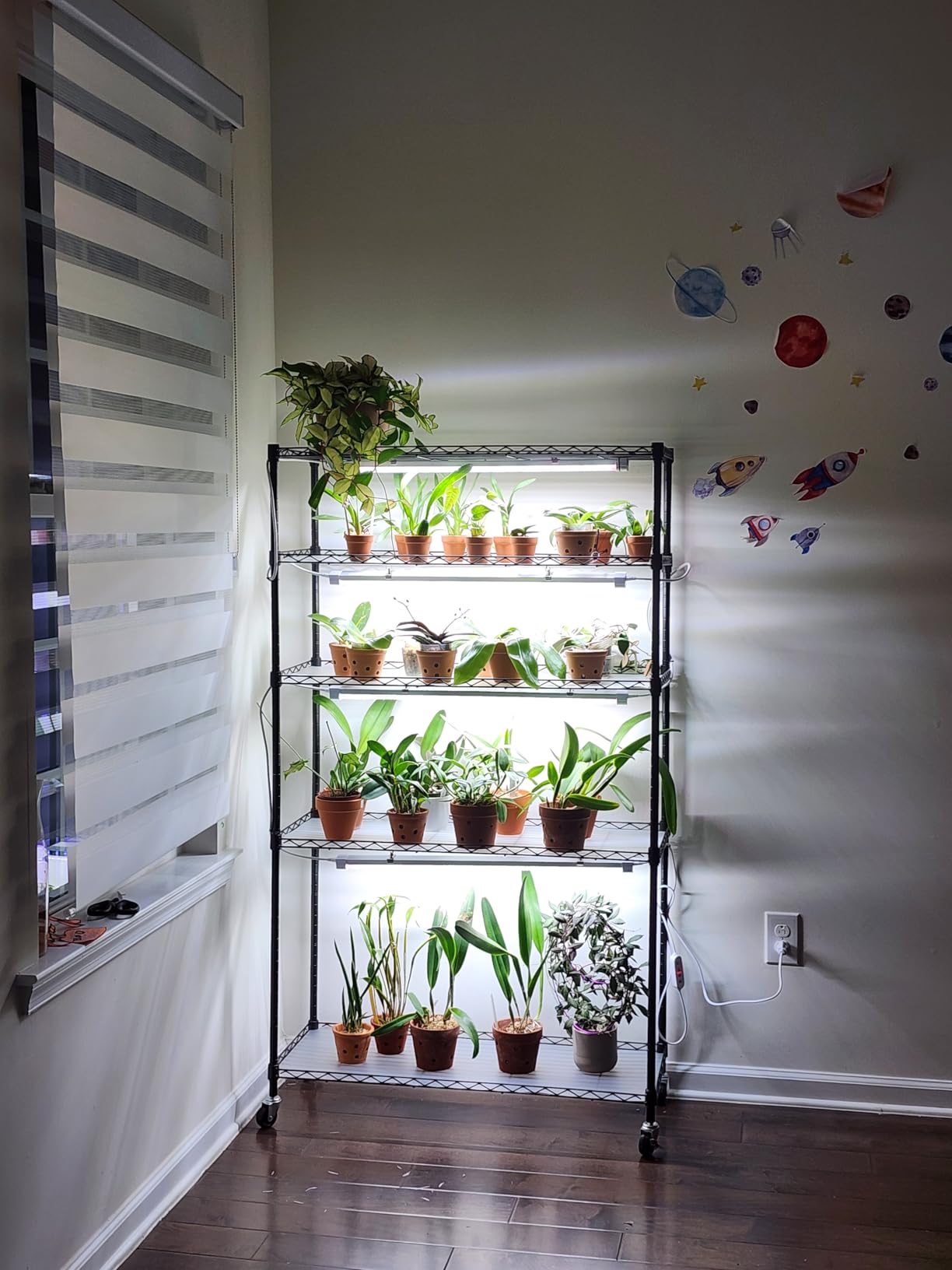 FREELICHT Plant Stand with Grow Light 5-Tier, 4×30W 5000K, 29.5x13.8x61.5IN customer photo 2