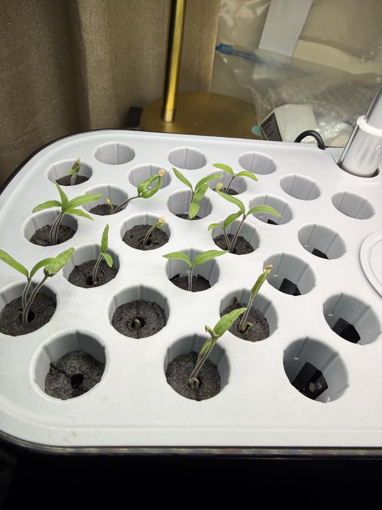 52 Pods Smart Hydroponics Growing System Indoor Herb Garden with Auto Timer customer photo 1