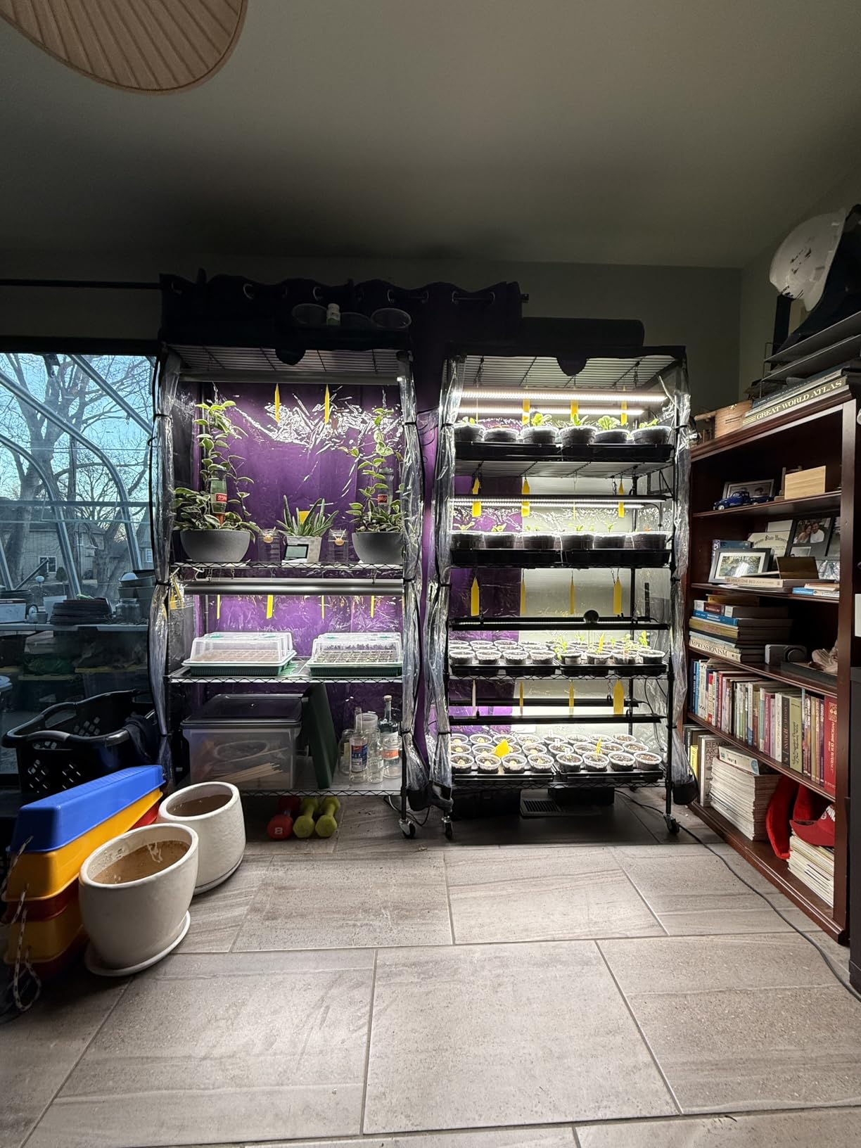 Barrina LP750 Indoor Greenhouse with Grow Light, 5 Tier Stand with Tent customer photo 1