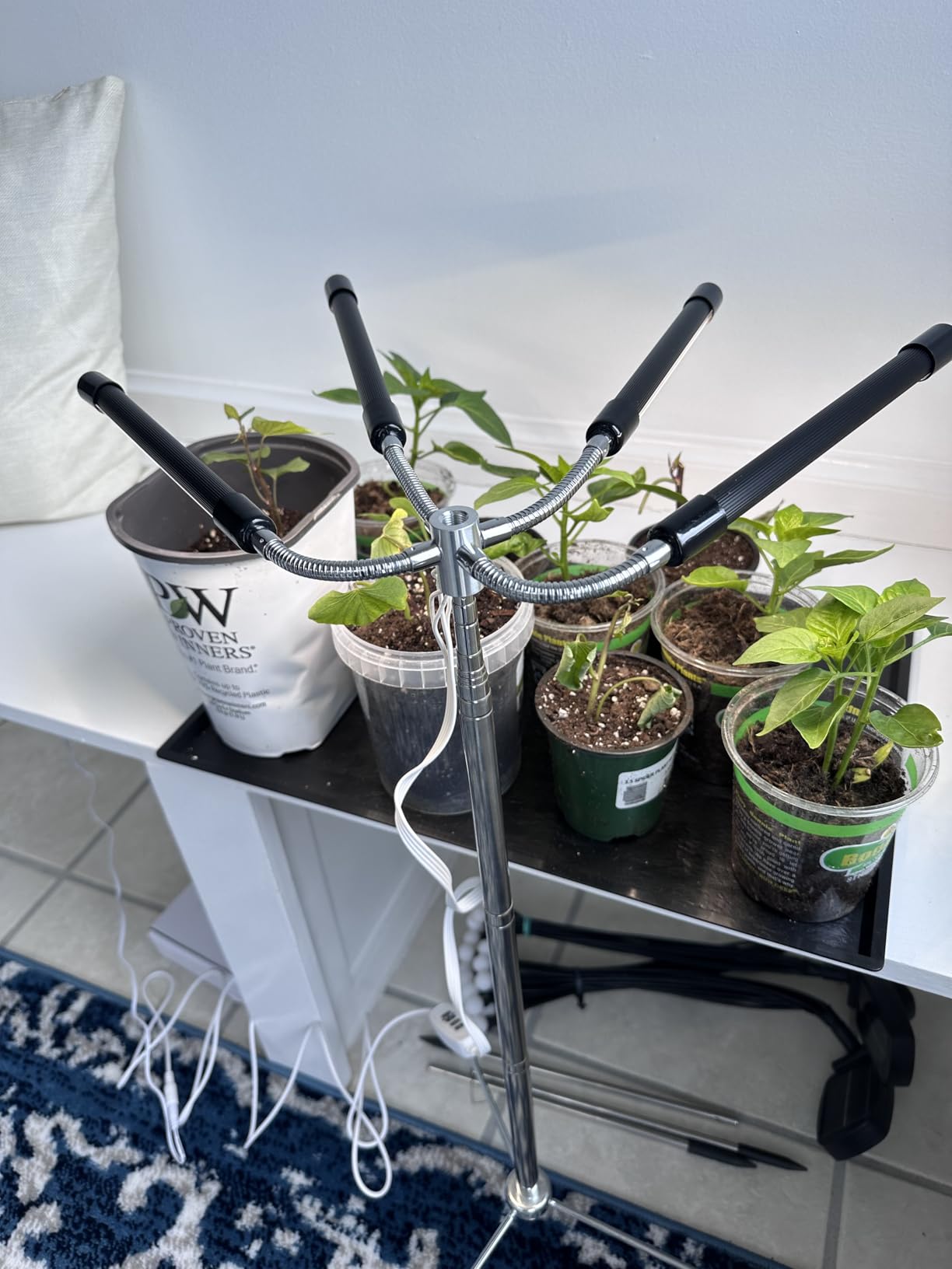 Grow Lights for Indoor Plants Full Spectrum,15-62 Inches Height Adjustable Dsektop and Standing Plant Growing Lights with Detachable Tripod Stand for Large and Small Plants, Auto On/Off Timer customer photo 1