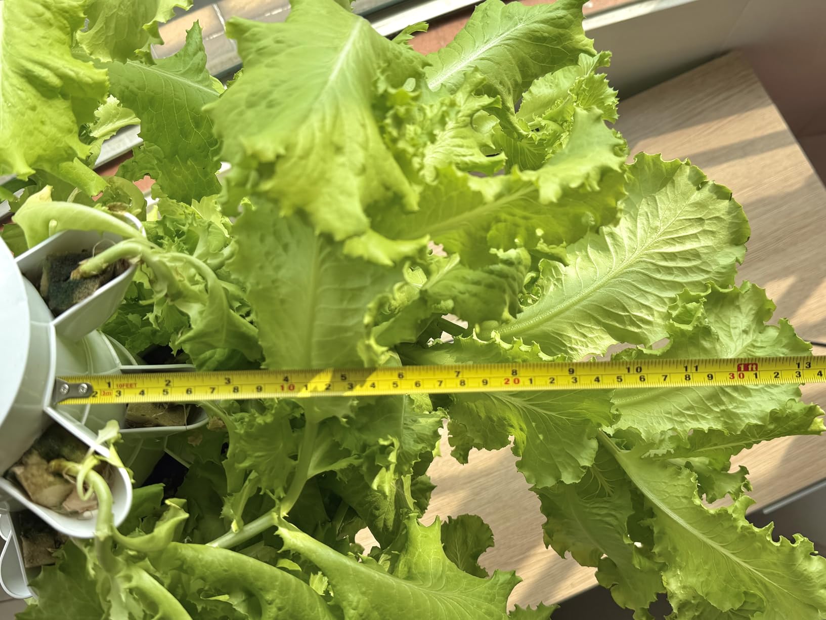 Hydroponics Growing System, 30-Plant Indoor Hydroponic Tower with Pump System, Plants Germination Kit, Smart Aeroponic Herb Garden, Vertical Hydroponic System for Gardening Lover (No Seed) customer photo 1