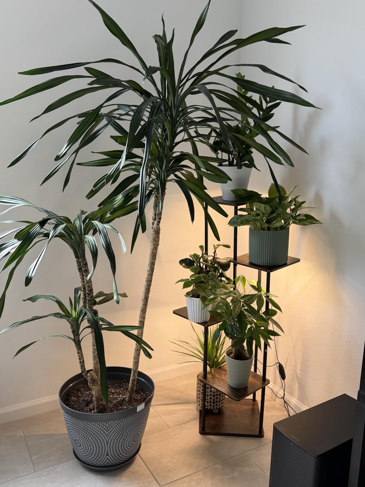 Bamworld Tall Plant Stand Indoor with Grow Light Corner Plant Shelf customer photo 2