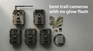 best trail cameras with no glow flash