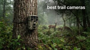 best trail cameras