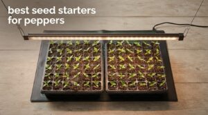 best seed starters for peppers